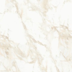 Carrelage imitation marbre blanc satiné rectifié 60x60x1cm et 30x60x1cm,  santamarmocrea venatogold