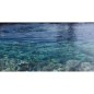 Carrelage mur et sol piscine imitation pierre grise QD 30x60.5cm  QD edimsilver