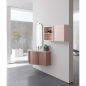 Meuble de salle de bain simple vasque arrondi de style contemporain design laqué rose mat avec 1 miroir et armoire compx BD025