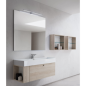 Meuble de salle de bain simple vasque de style contemporain mélaminé bois clair avec 1 miroir et armoires compx BD005