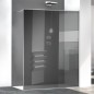 Paroi de douche fixe en verre gris réfléchissant, montant chromé brillant, hauteur 200cm largeur variable megxzen sao