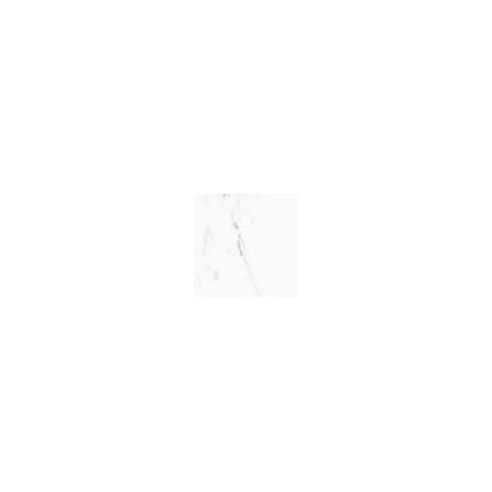 Carrelage decor dalle marbré blanc et bande marbre noir mat 64.5x64.5, 16x16cm et 16x64.5cm rectifié pasicminflor