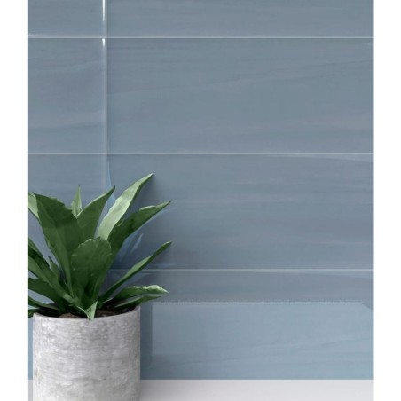 Carrelage brillant épaisseur 8.5mm, mur, bleu 25x75cm savbotanical pigment blue