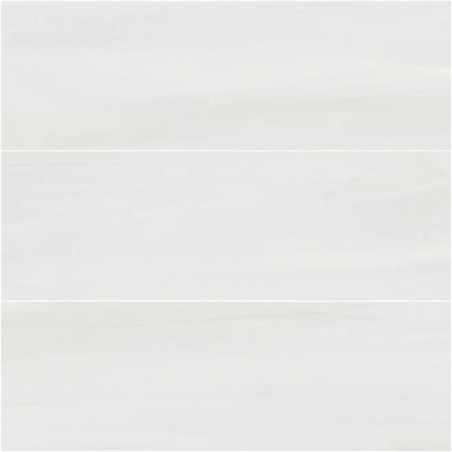 Carrelage brillant épaisseur 8.5mm, mur, gris clair 25x75cm savbotanical pigment grey promotion