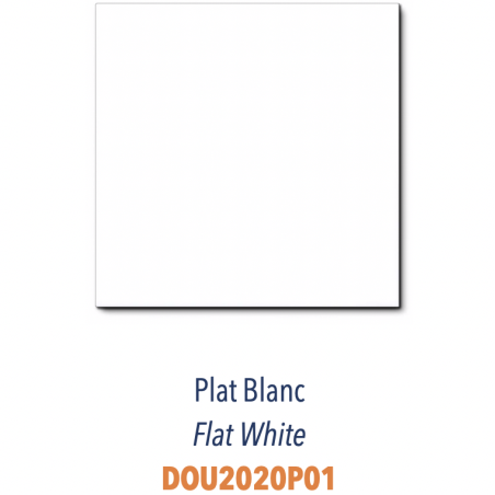 Carrelage plat blanc brillant de tradition à composer avec decor fond blanc Dif 20x20x0.7cm DOU2020P01
