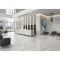 Carrelage imitation marbre blanc veiné de gris poli brillant 60x60cm rectifié, hotel, géoxlasa blanc sol et mur