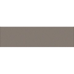 Mosaique rectangulaire brillant de couleur grigio 5X20cm sur trame