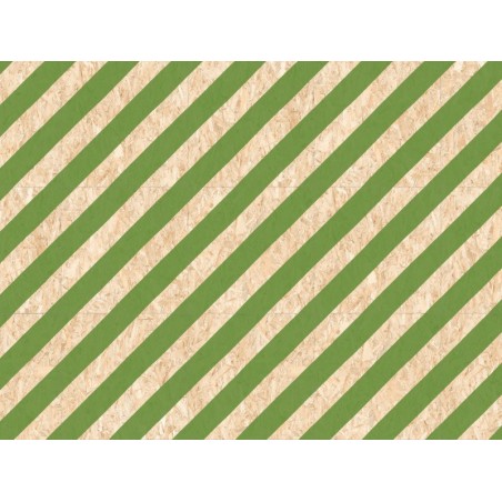 Carrelage effet bois aggloméré mat avec bandes vertes, décor, 59.3x59.3cm rectifié,  R10, VIV strand nenets naturel vert