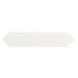 Carrelage navette plat contemporain blanc brillant uni mur 5x25x0.9cm, eqxarrow white 25835