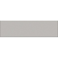 Mosaique rectangulaire brillant de couleur argent 5X20cm sur trame VO